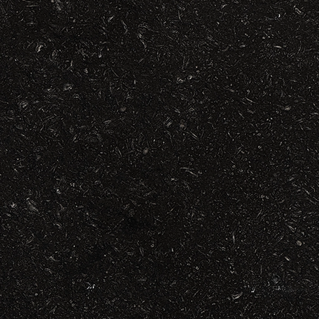 Fossil - Image 2