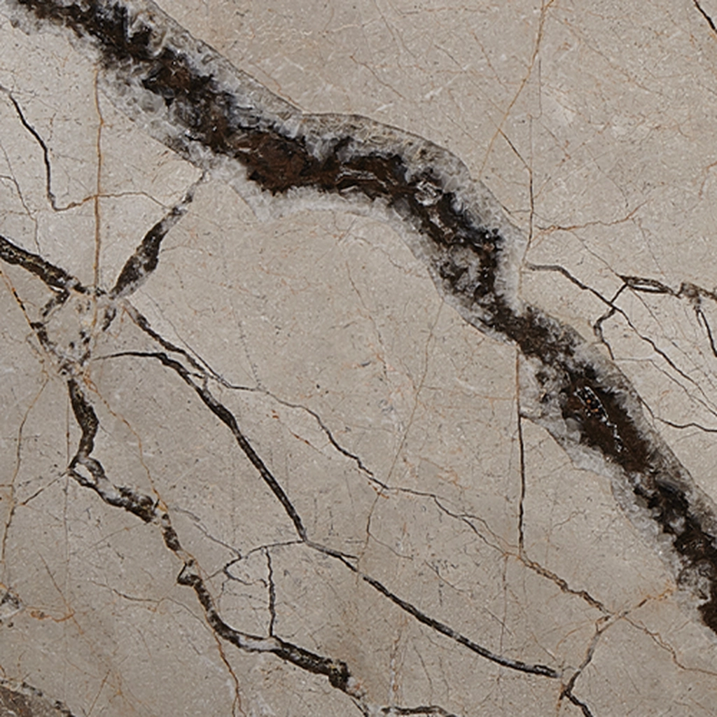 Silver Root - Image 2