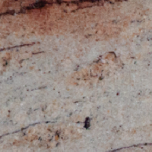 Ivory Pearl granite swatch