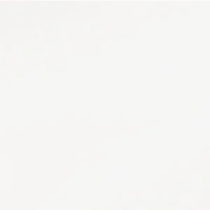Absolute White porcelain swatch