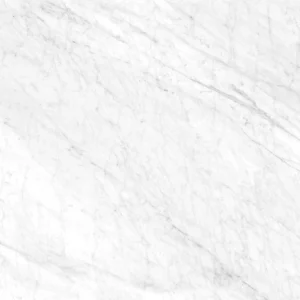 Bianco Venatino porcelain swatch